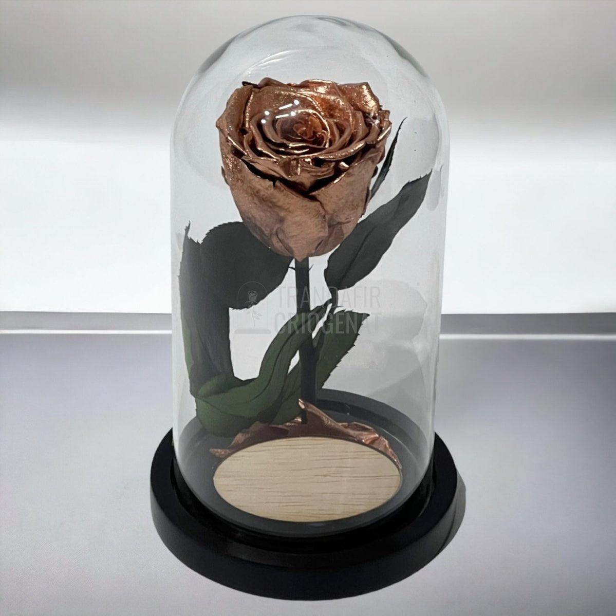 Trandafir Criogenat culoare cupru Ø6,5cm in cupola, cu mesaj - Trandafir-Criogenat.ro