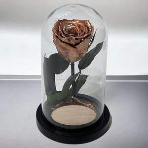 Trandafir Criogenat culoare cupru Ø6,5cm in cupola, cu mesaj - Trandafir-Criogenat.ro