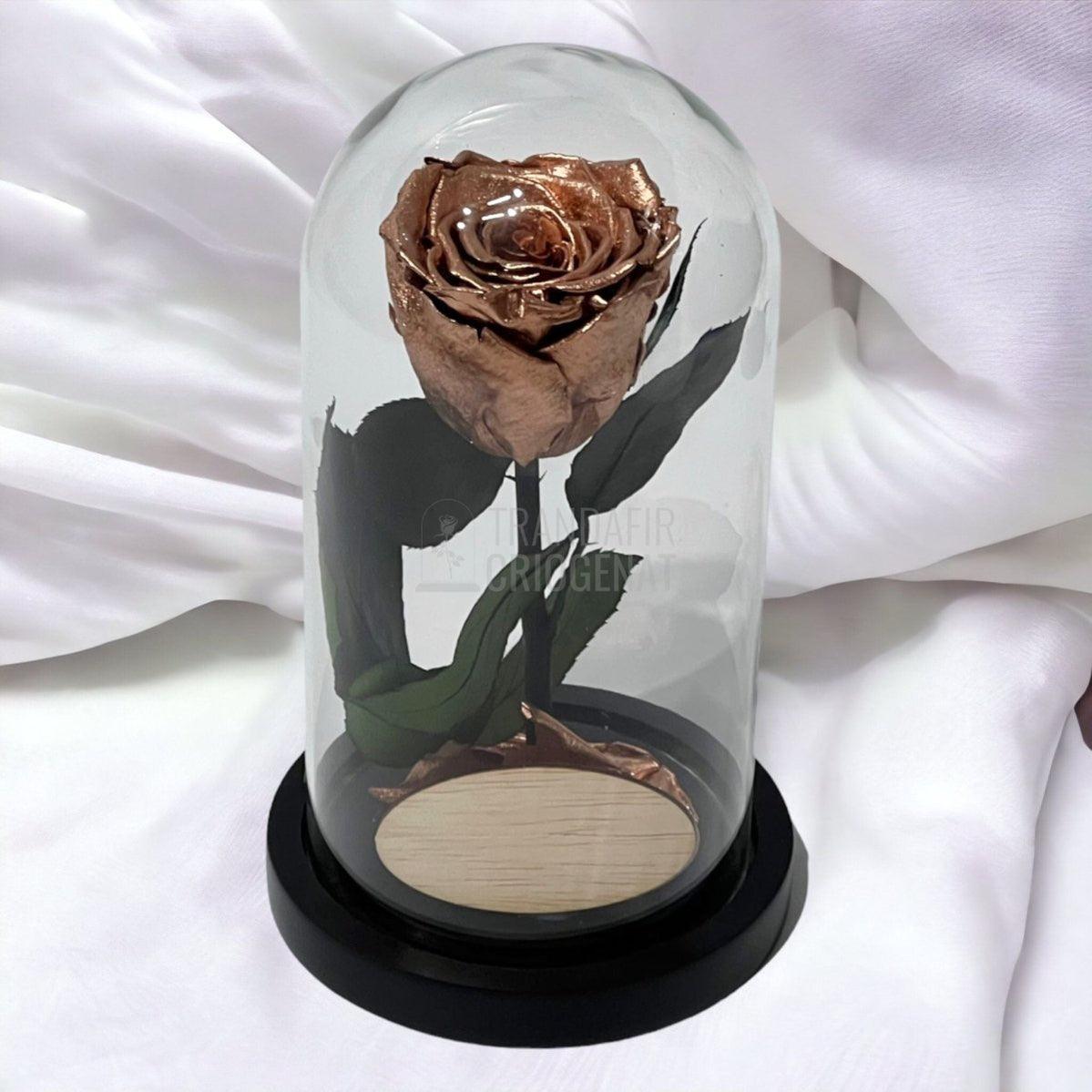 Trandafir Criogenat culoare cupru Ø6,5cm in cupola, cu mesaj - Trandafir-Criogenat.ro