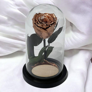 Trandafir Criogenat culoare cupru Ø6,5cm in cupola, cu mesaj - Trandafir-Criogenat.ro