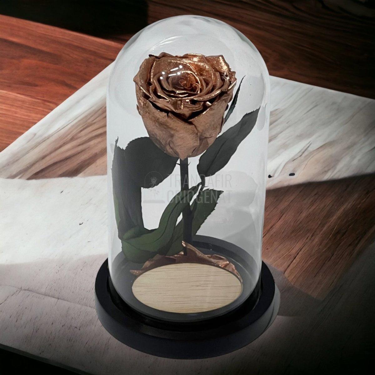 Trandafir Criogenat culoare cupru Ø6,5cm in cupola, cu mesaj - Trandafir-Criogenat.ro