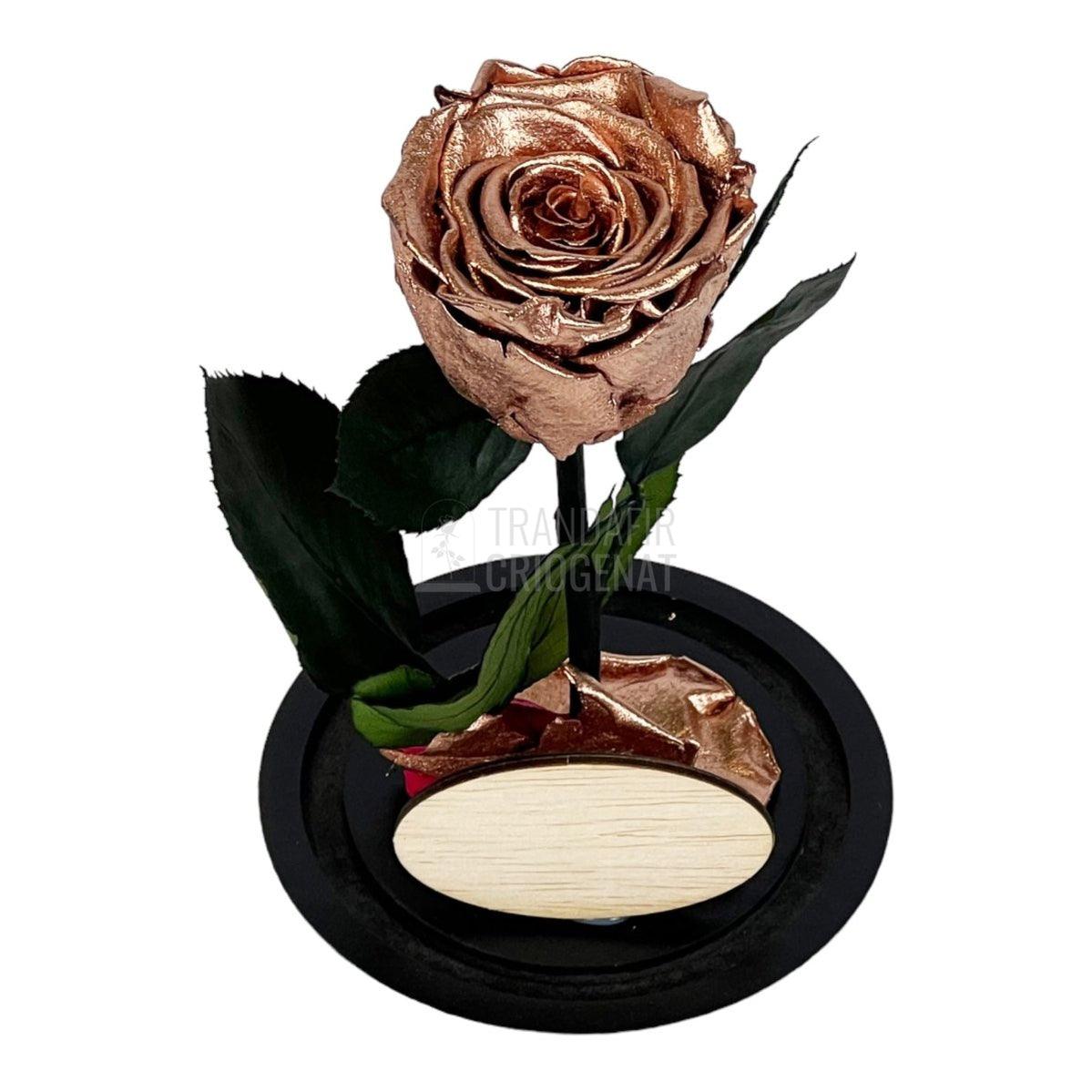 Trandafir Criogenat culoare cupru Ø6,5cm in cupola, cu mesaj - Trandafir-Criogenat.ro