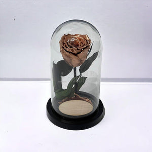 Trandafir Criogenat culoare cupru Ø6,5cm in cupola, cu mesaj - Trandafir-Criogenat.ro