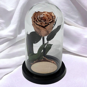 Trandafir Criogenat culoare cupru Ø6,5cm in cupola, cu mesaj - Trandafir-Criogenat.ro