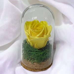 Trandafir Criogenat galben in cupola de sticla 5x9,5cm (marturie) - Trandafir-Criogenat.ro