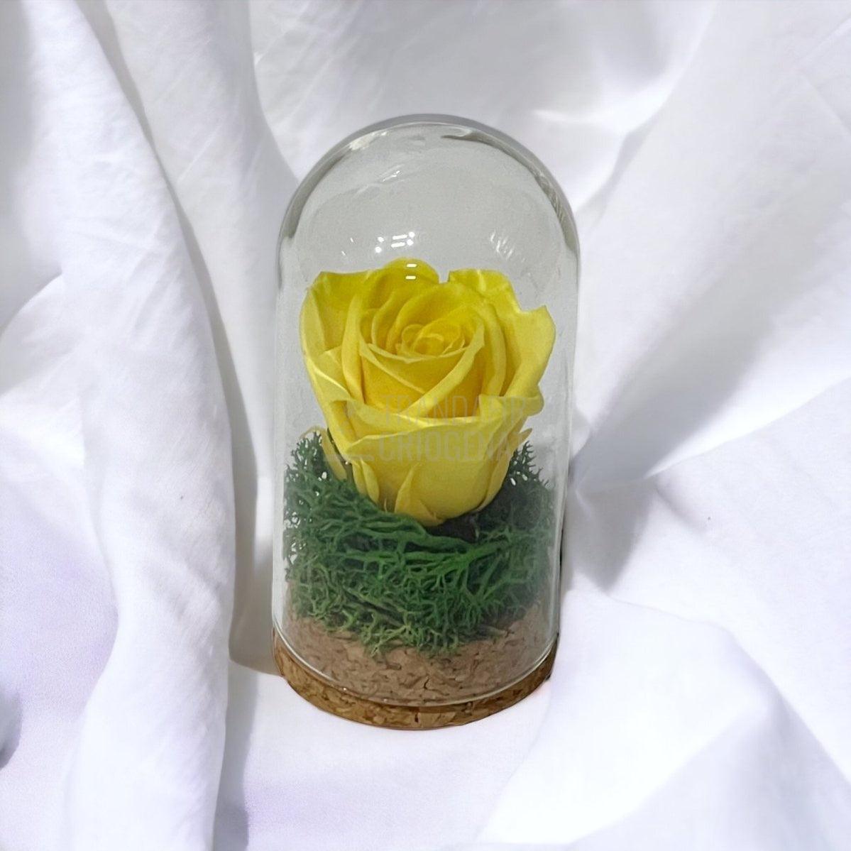 Trandafir Criogenat galben in cupola de sticla 5x9,5cm (marturie) - Trandafir-Criogenat.ro