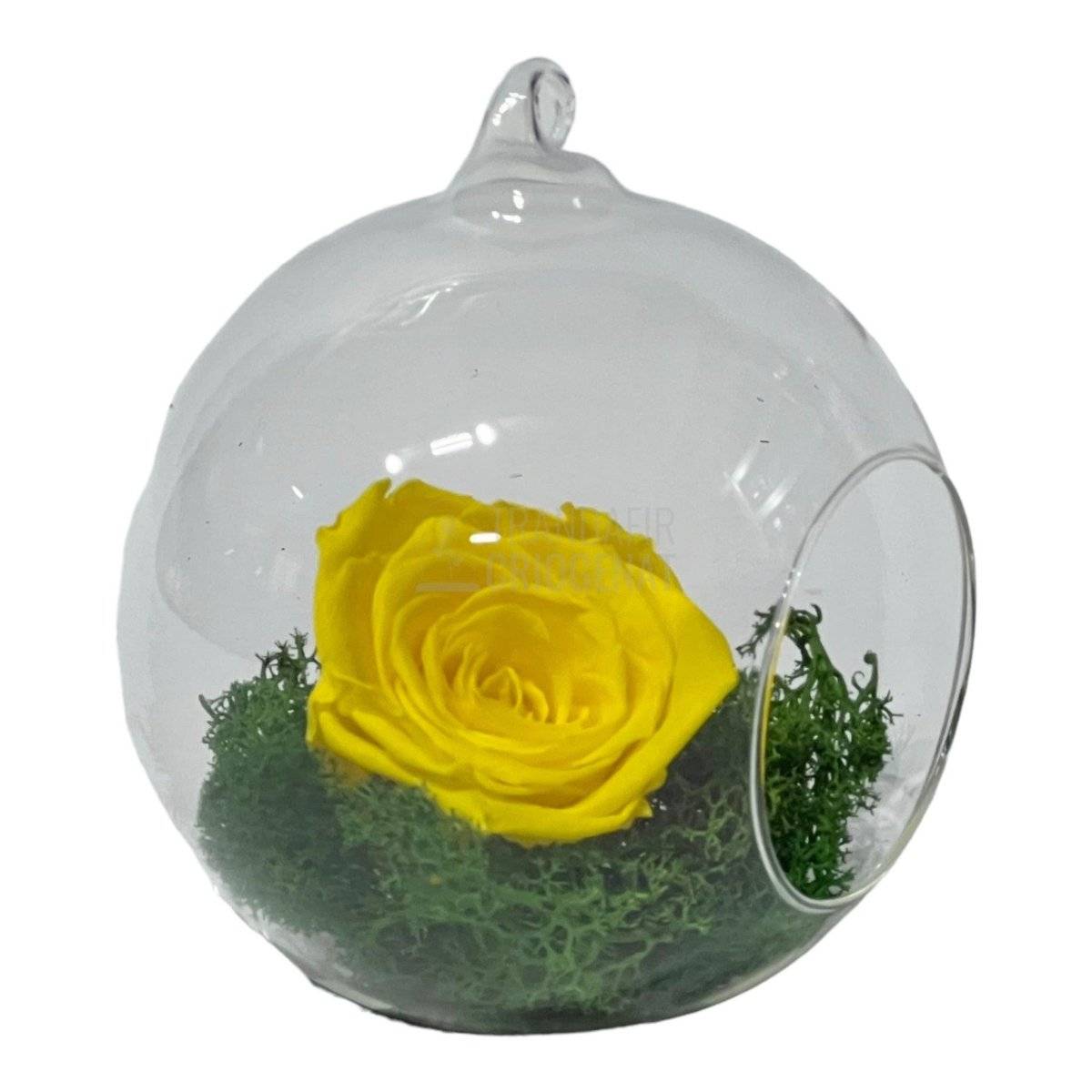Trandafir Criogenat galben in glob de sticla Ø12cm - Trandafir-Criogenat.ro