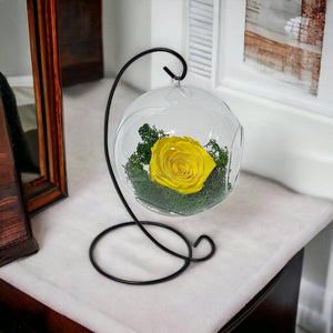 Trandafir Criogenat galben in glob sticla suspendat Ø12cm - Trandafir-Criogenat.ro