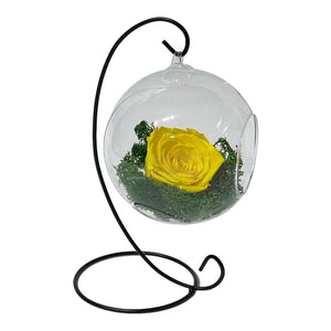 Trandafir Criogenat galben in glob sticla suspendat Ø12cm - Trandafir-Criogenat.ro