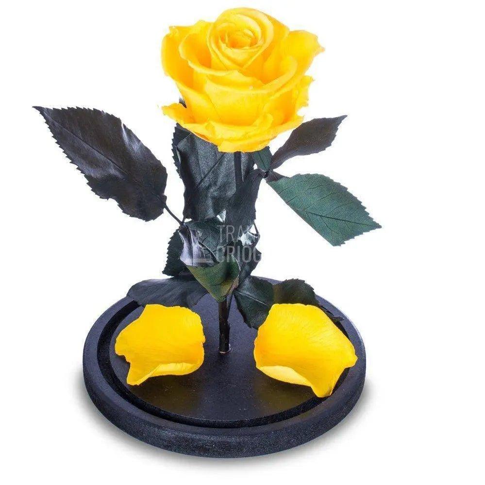 Trandafir Criogenat galben Ø6,5cm in cupola sticla 10x20cm - Trandafir-Criogenat.ro