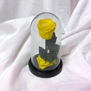 Trandafir Criogenat galben Ø6,5cm in cupola sticla, cu mesaj - Trandafir-Criogenat.ro