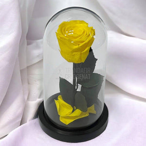 Trandafir Criogenat galben Ø6,5cm in cupola sticla, cu mesaj - Trandafir-Criogenat.ro