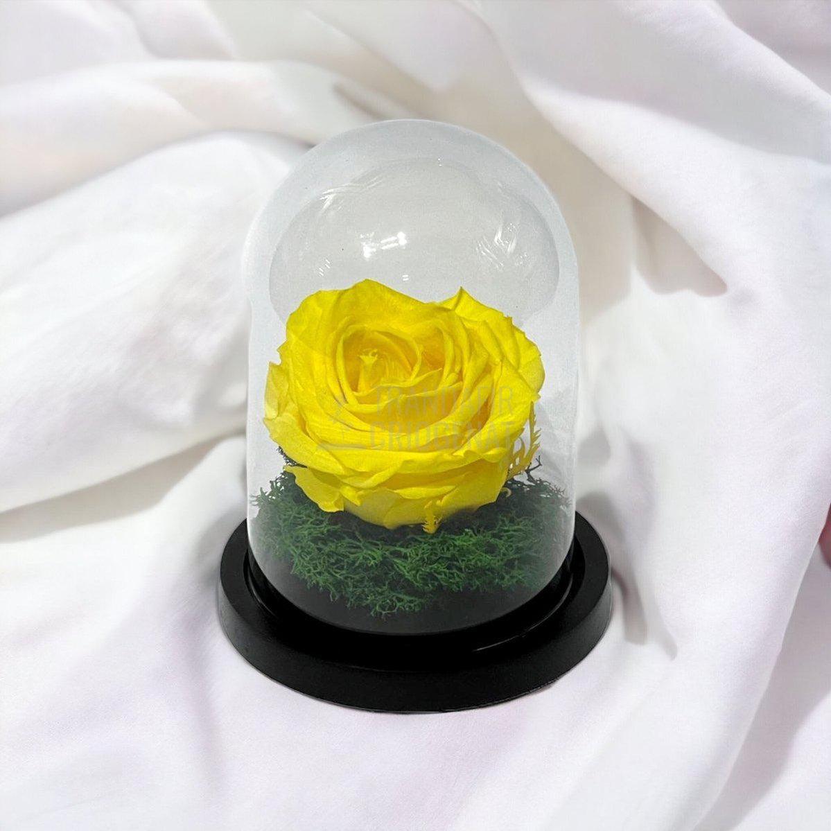 Trandafir Criogenat galben Ø8cm in cupola de sticla 10x15cm - Trandafir-Criogenat.ro