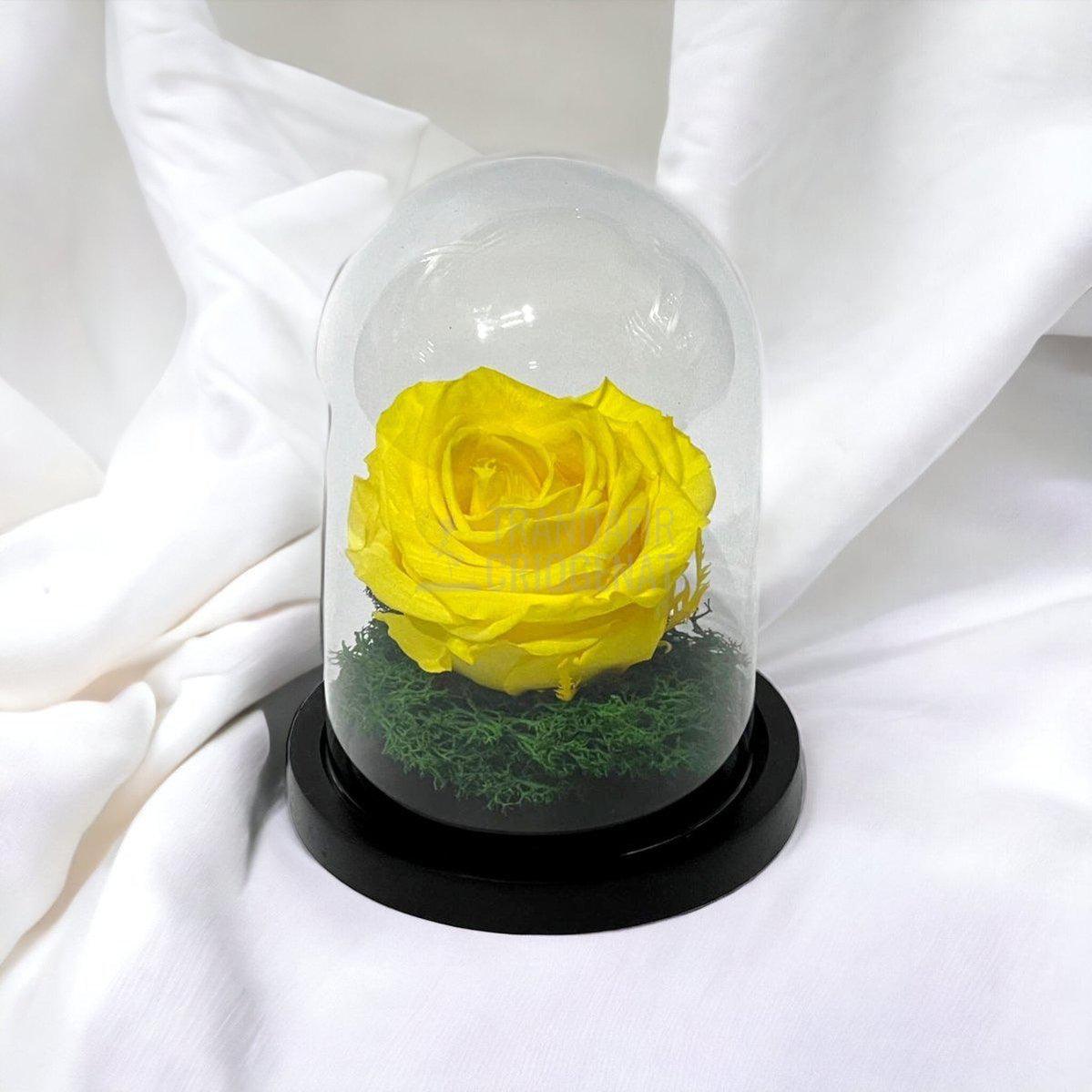 Trandafir Criogenat galben Ø8cm in cupola de sticla 10x15cm - Trandafir-Criogenat.ro