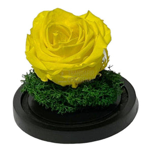 Trandafir Criogenat galben Ø8cm in cupola de sticla 10x15cm - Trandafir-Criogenat.ro