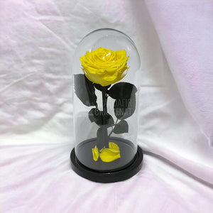Trandafir Criogenat galben Ø8cm in cupola de sticla, cu mesaj - Trandafir-Criogenat.ro