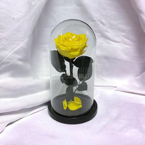 Trandafir Criogenat galben Ø8cm in cupola de sticla, cu mesaj - Trandafir-Criogenat.ro
