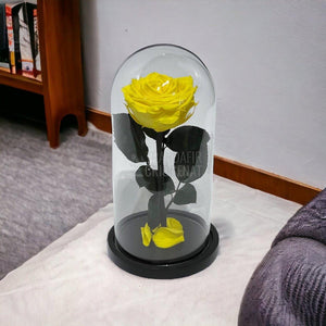 Trandafir Criogenat galben Ø8cm in cupola de sticla, cu mesaj - Trandafir-Criogenat.ro