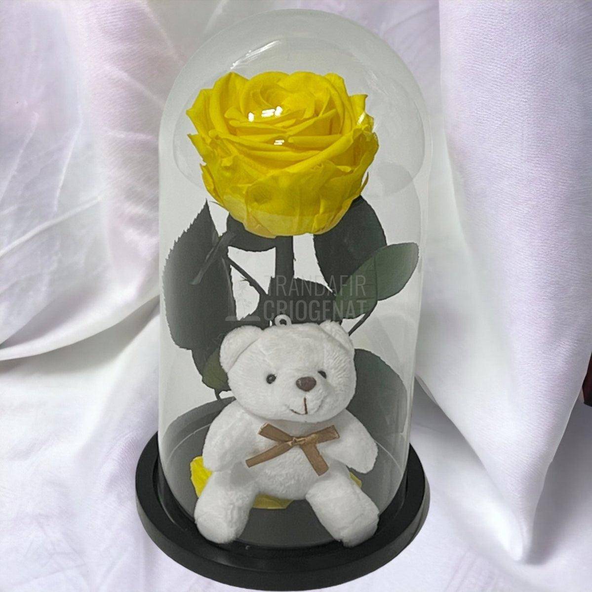 Trandafir Criogenat galben Ø8cm in cupola sticla cu Ursulet - Trandafir-Criogenat.ro