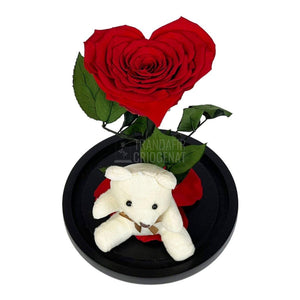 Trandafir Criogenat inima rosie in cupola sticla cu Ursulet - Trandafir-Criogenat.ro