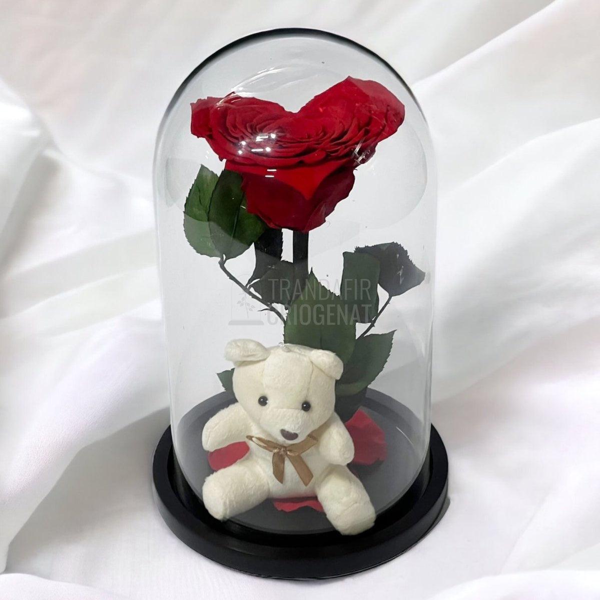 Trandafir Criogenat inima rosie in cupola sticla cu Ursulet - Trandafir-Criogenat.ro
