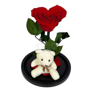 Trandafir Criogenat inima rosie in cupola sticla cu Ursulet - Trandafir-Criogenat.ro