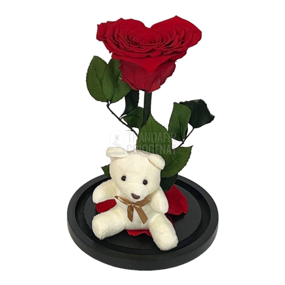 Trandafir Criogenat inima rosie in cupola sticla cu Ursulet - Trandafir-Criogenat.ro