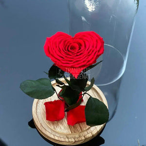 Trandafir Criogenat inima rosu Ø9cm in cupola 12x25cm - Trandafir-Criogenat.ro