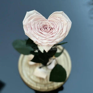 Trandafir Criogenat inima roz pal Ø9cm in cupola 12x25cm - Trandafir-Criogenat.ro