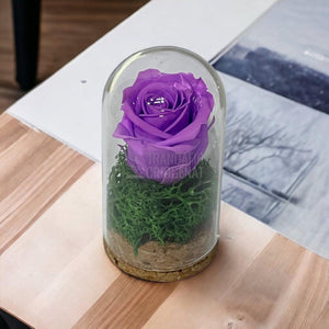 Trandafir Criogenat lila in cupola de sticla 5x9,5cm (marturie) - Trandafir-Criogenat.ro