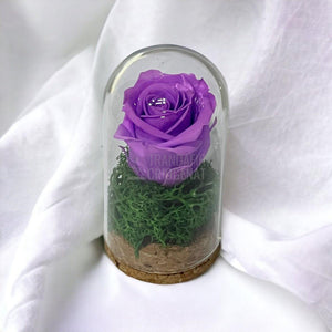 Trandafir Criogenat lila in cupola de sticla 5x9,5cm (marturie) - Trandafir-Criogenat.ro