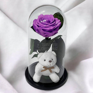 Trandafir Criogenat lila intens Ø8cm in cupola sticla cu Ursulet - Trandafir-Criogenat.ro