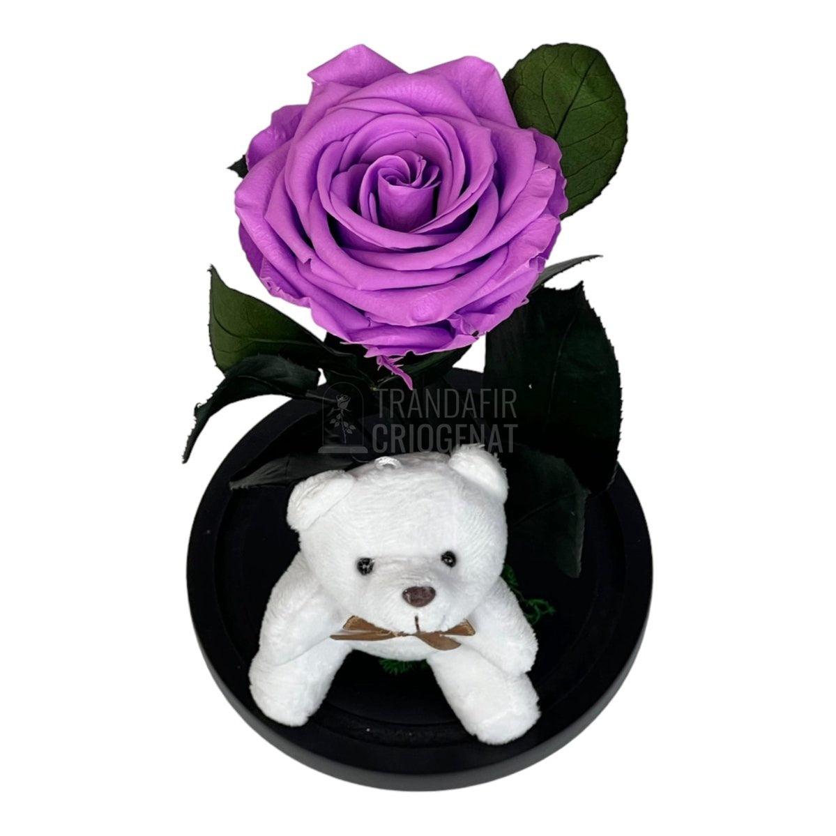 Trandafir Criogenat lila intens Ø8cm in cupola sticla cu Ursulet - Trandafir-Criogenat.ro