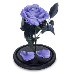 Trandafir Criogenat lila Ø6,5cm in cupola de sticla 10x20cm - Trandafir-Criogenat.ro