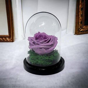 Trandafir Criogenat lila Ø8cm in cupola de sticla 10x15cm - Trandafir-Criogenat.ro
