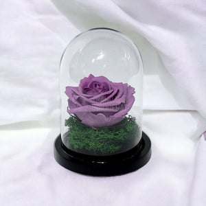 Trandafir Criogenat lila Ø8cm in cupola de sticla 10x15cm - Trandafir-Criogenat.ro