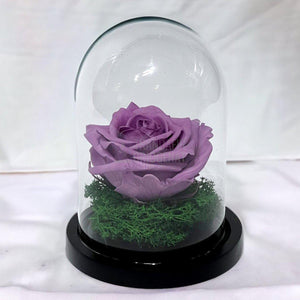Trandafir Criogenat lila Ø8cm in cupola de sticla 10x15cm - Trandafir-Criogenat.ro