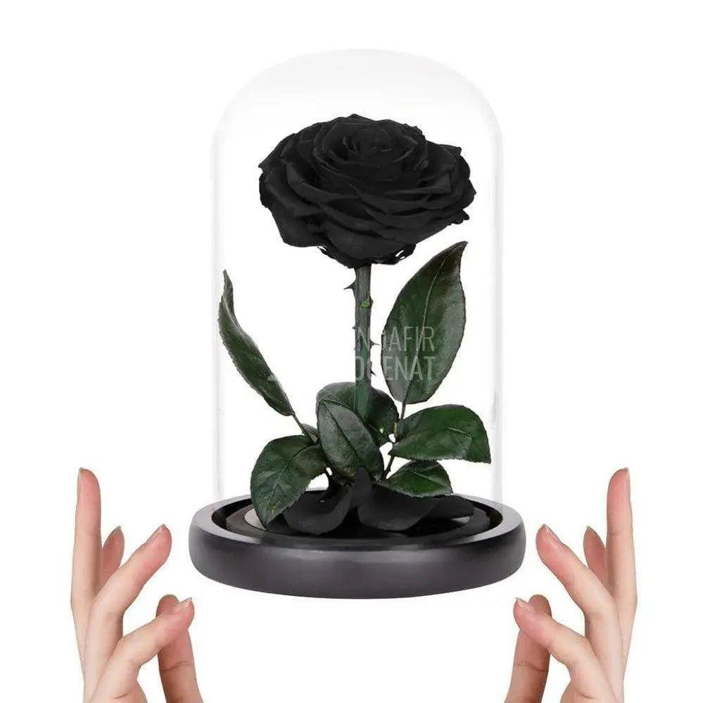 Trandafir Criogenat mare negru Ø9,5cm in cupola sticla 15x25cm - Trandafir-Criogenat.ro