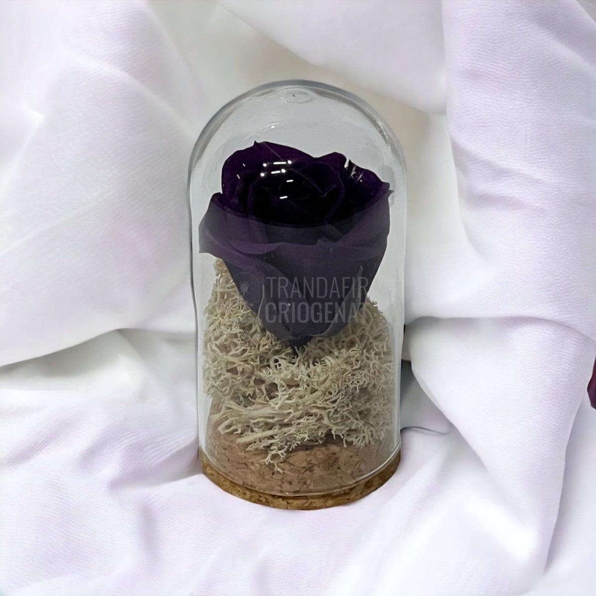 Trandafir Criogenat mov-inchis in cupola sticla 5x9,5cm (marturie) - Trandafir-Criogenat.ro