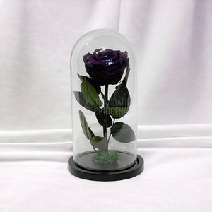 Trandafir Criogenat mov inchis Ø8cm in cupola de sticla, cu mesaj - Trandafir-Criogenat.ro