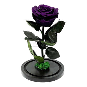 Trandafir Criogenat mov inchis Ø8cm in cupola de sticla, cu mesaj - Trandafir-Criogenat.ro