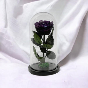 Trandafir Criogenat mov inchis Ø8cm in cupola de sticla, cu mesaj - Trandafir-Criogenat.ro