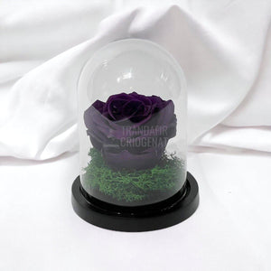Trandafir Criogenat mov inchis Ø8cm in cupola sticla 10x15cm - Trandafir-Criogenat.ro
