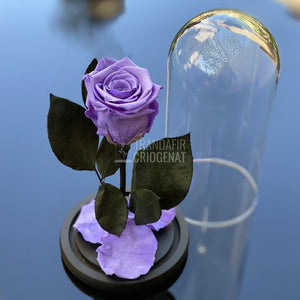 Trandafir Criogenat mov Ø6,5cm in cupola de sticla 10x20cm - Trandafir-Criogenat.ro