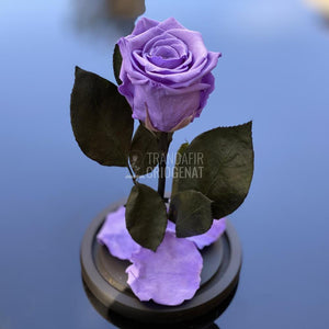 Trandafir Criogenat mov Ø6,5cm in cupola de sticla 10x20cm - Trandafir-Criogenat.ro