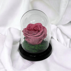 Trandafir Criogenat mov pudrat Ø8cm in cupola de sticla 10x15cm - Trandafir-Criogenat.ro