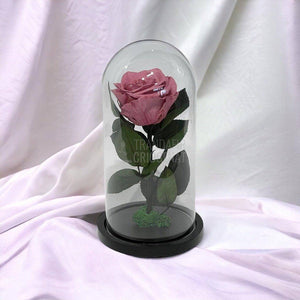 Trandafir Criogenat mov pudrat Ø8cm in cupola de sticla, cu mesaj - Trandafir-Criogenat.ro
