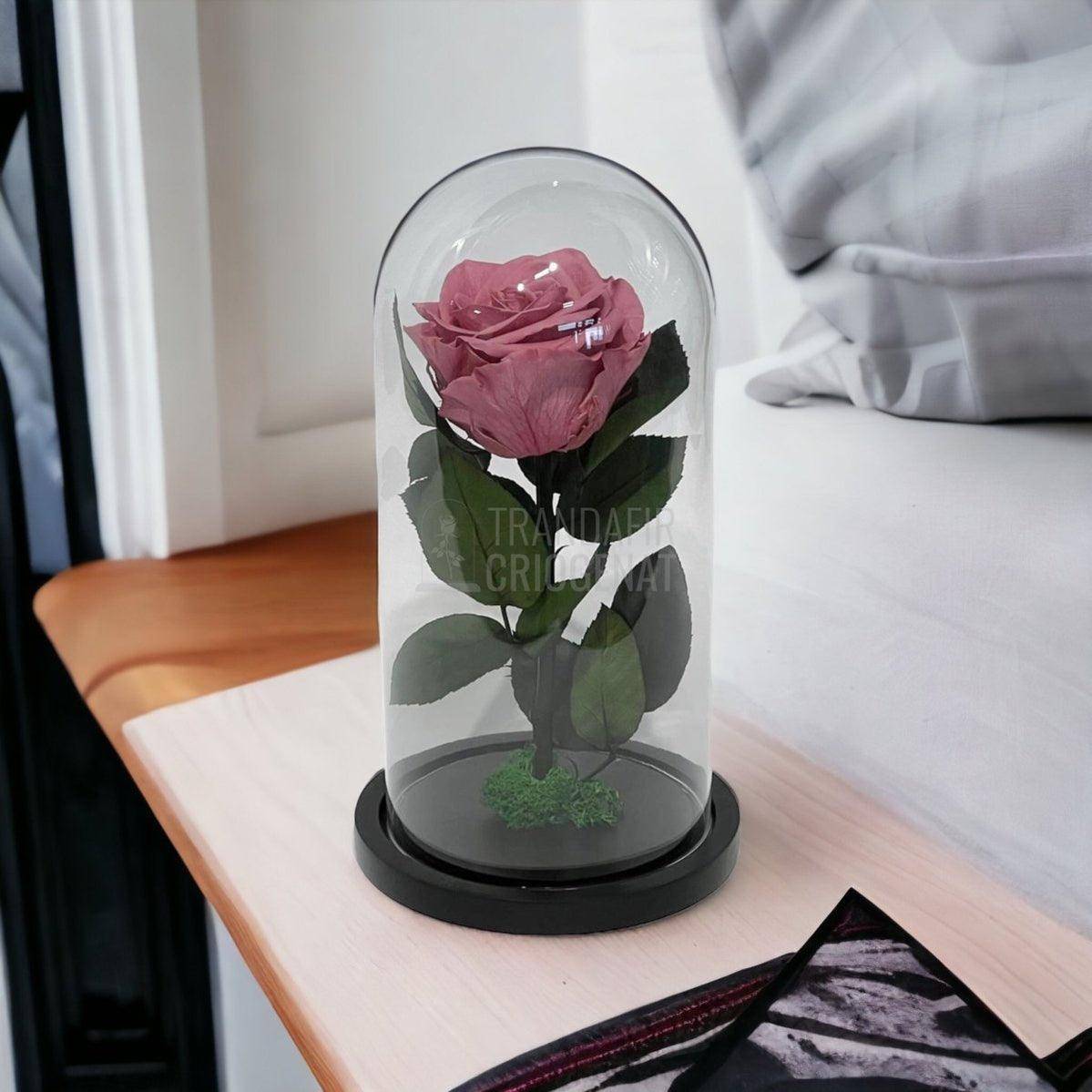 Trandafir Criogenat mov pudrat Ø8cm in cupola de sticla, cu mesaj - Trandafir-Criogenat.ro