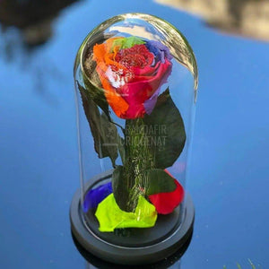 Trandafir Criogenat multicolor Ø6,5cm in cupola de sticla - Trandafir-Criogenat.ro