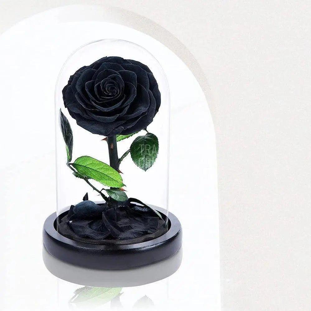 Trandafir Criogenat negru bonita Ø9,5cm in cupola 12x25cm - Trandafir-Criogenat.ro